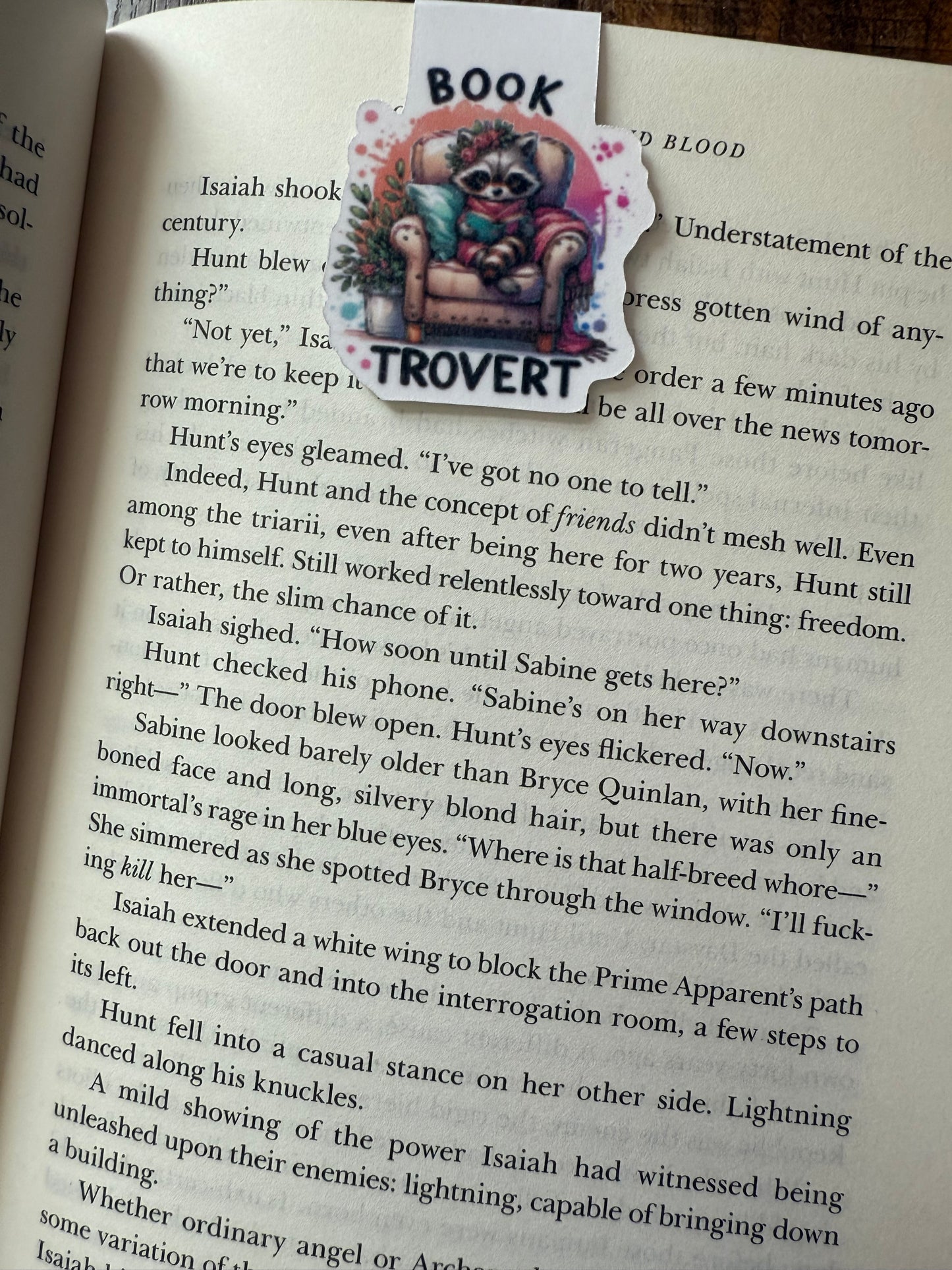 Booktrovert Raccoon Magnetic bookmark