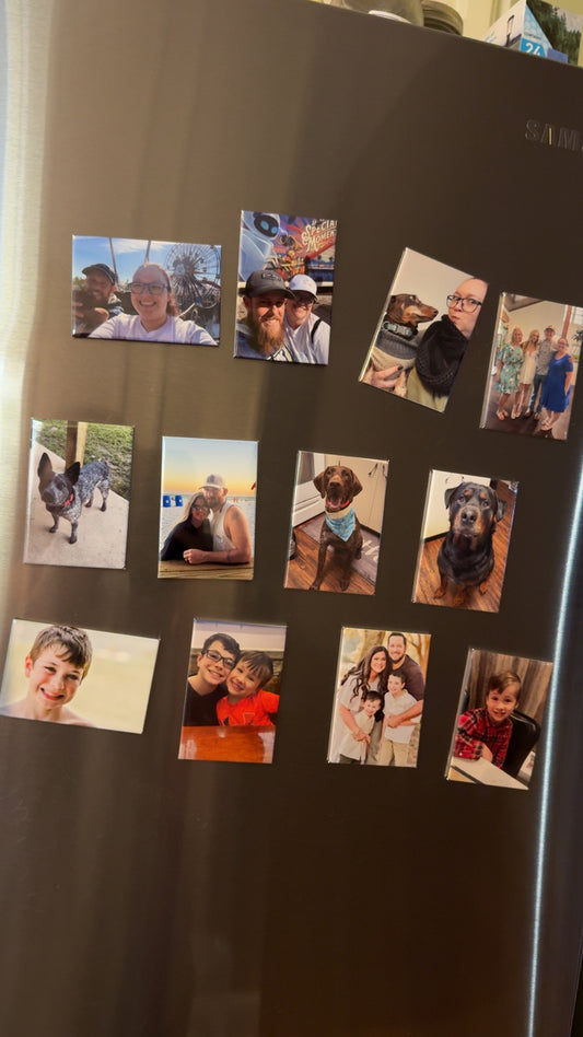 12-pack Magnets